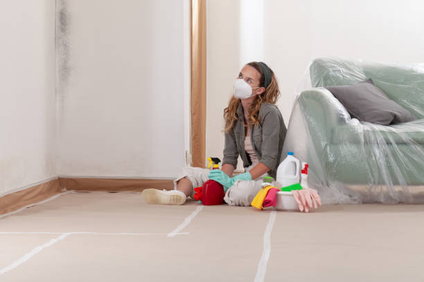 Reliable Mold Remediation contractor in Franklin, VA by Cheap Mold Removal